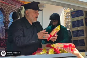 موکب امام رضا علیه&zwnj;السلام در نجف اشرف