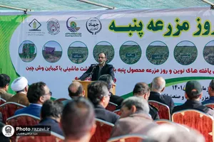 نشست مدیران و فعالان صنعت پنبه کشور
