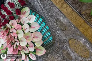 گل&zwnj;آرایی ضریح مطهر رضوی در آستانه ولادت امام رضا علیه&zwnj;السلام