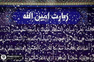 بارش برف شبانگاهی در حرم مطهر رضوی