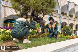 گل آرایی عیدانه حرم مطهر رضوی