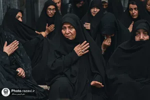 تشرف جمعی از کارکنان حمل و نقل عمومی مشهد مقدس