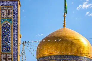 عکس با کیفیت : کبوتران حرم امام رضا علیه السلام