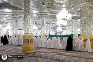 &laquo;پرواز پروانه&zwnj;ها&raquo; در حرم مطهر امام رئوف