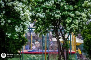 اردوگاه فرهنگی، تفریحی امام رضا علیه&zwnj;السلام