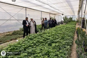 بازدید کارکنان آستان قدس از صنایع غذایی و موسسه بذر و نهال رضوی
