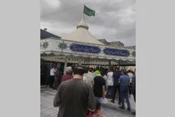 خودشان جفت و جور می‌کنند!