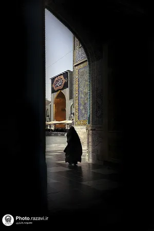 نمایشگاه عکس آرام جان