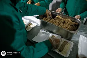 موکب کفشداران حرم مطهر رضوی در شهر ملک آباد