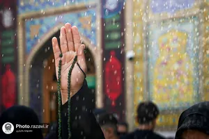 یادگار پدر، مهمان حرم