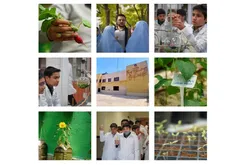 یک‌سالگی باغچه گیاه‌شناسی پژوهش‌سرای امام رضا(ع) با کشت بیش از 120 گونه گیاهی