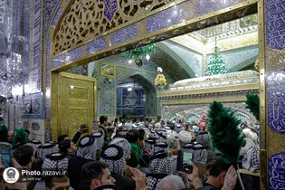 عراقی قبائل کے سرداروں کی حرم امام رضا (ع) میں حاضری