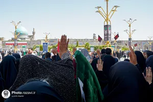 از خاک راه تا آستان رضا علیه&zwnj;السلام