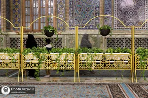 گل آرایی رواق امام خمینی(ره) حرم مطهر رضوی