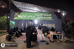 اسکان زائرین حضرت رضا علیه&zwnj;السلام در طرح دارالکرامه - باغ خاتون