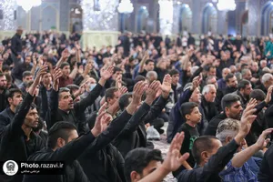 موکب عزاداری رضوی زنجانی&zwnj;ها