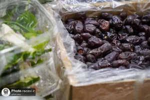 بسته بندی و توزیع افطار سبک در چایخانه حضرت رضا علیه&zwnj;السلام