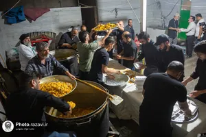 زائران پیاده امام رضا علیه&zwnj;السلام-2