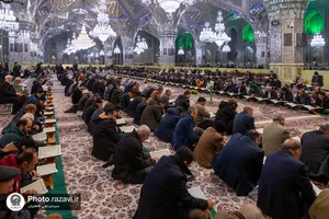 ترتیل خوانی قرآن کریم در حرم مطهر رضوی