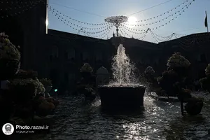 نور باشد سایه ای در پای دیوار شما