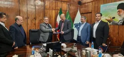 استفاده از ظرفیت شهاب خودرو برای بازسازی و نوسازی ناوگان حمل‌ونقل درون شهری مشهد