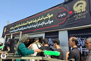 موکب امام رضا علیه&zwnj;السلام در نجف اشرف