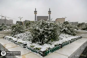 بارش اولین برف پاییزی 1401 در حرم مطهر رضوی