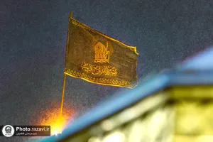 بارش برف در حرم مطهر رضوی