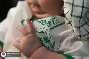 آیین معنوی &laquo;شیرخوارگان حسینی&raquo; در حرم مطهر رضوی