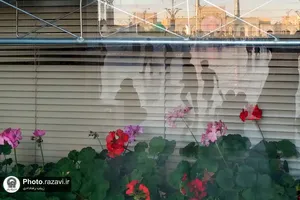 انعکاس عاشقی