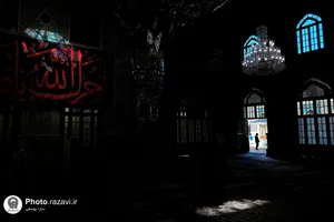 نمایشگاه عکس آرام جان