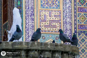 نقش نام امیرالمومنین در حرم مطهر رضوی