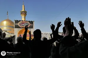 ارادت عزاداران حسینی در حرم رضوی