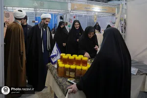 بازدید مدیرکل تبلیغات استان از نمایشگاه زنان کارآفرین