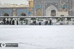 بارش برف در حرم مطهر رضوی -3