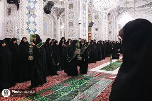 نبات