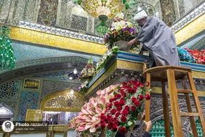 گل&zwnj;آرایی ضریح مطهر رضوی در آستانه ولادت امام رضا علیه&zwnj;السلام
