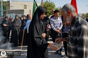 از خاک راه تا آستان رضا علیه&zwnj;السلام