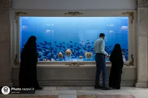 گنجینه آبزیان موزه مرکزی آستان قدس رضوی