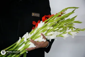 غبارروبی مزار شهدای مدفون در حرم مطهر رضوی