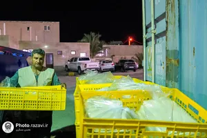 برپایی نانوایی به همت خادمیاران رضوی در مرز مهران