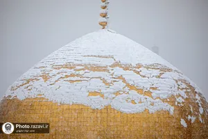 بارش برف در حرم مطهر رضوی-1
