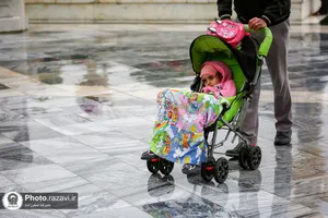 بارش باران بهاری در حرم مطهر رضوی