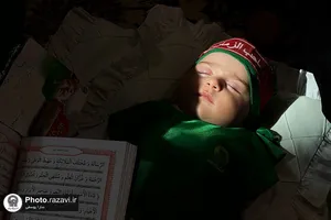 همایش "شیرخوارگان حسینی" در حرم مطهر رضوی-2