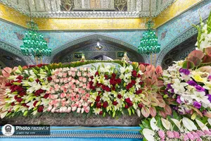 گل&zwnj;آرایی ضریح مطهر رضوی در آستانه ولادت امام رضا علیه&zwnj;السلام