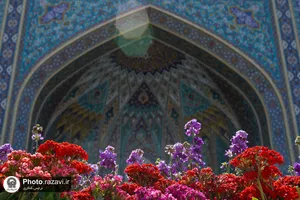 اردیبهشت در این قطعه از بهشت