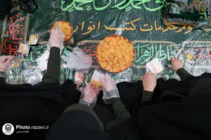 نبات