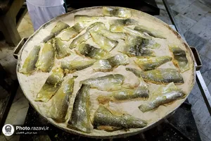 پخت و توزیع غذای متبرک ماهی سفره شب عید در مهمانسرای حضرت