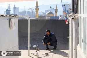 تولید و پخش سریال کوتاه &laquo;نذر&raquo;