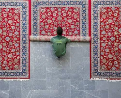 تار و پود ارادت